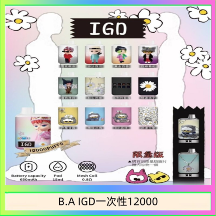 B.A IGD12000口 電子煙